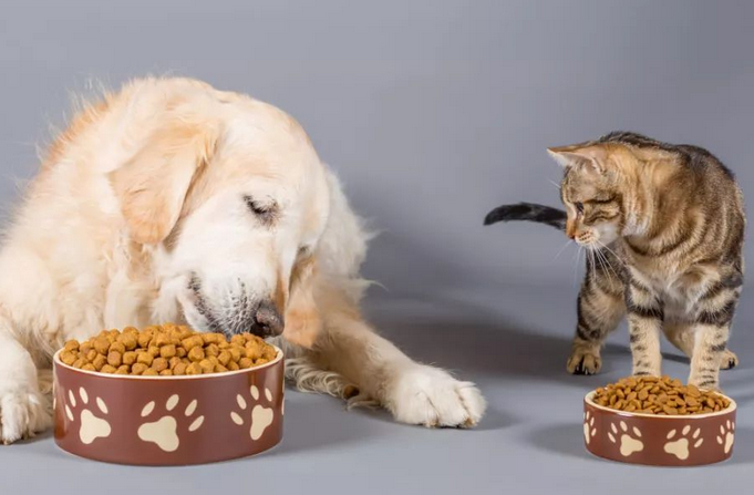 如何管理猫粮狗粮区分呢