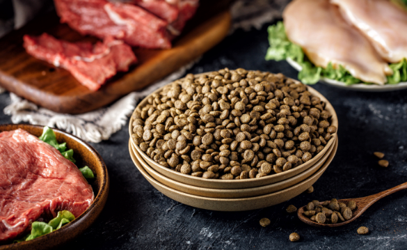 如何自制狗粮用牛肉粉条
