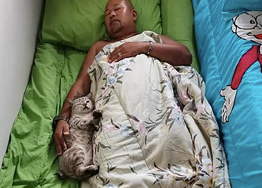 女子执意要养猫，隔段时间却有些后悔：别让丈夫接触猫