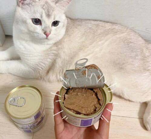 贝田猫罐头猫吃吗 贝田猫罐头猫吃吗