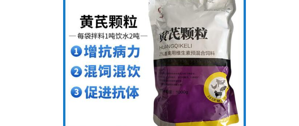 怀孕母牛可以喂黄芪多糖吗