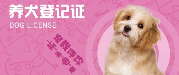 给狗狗申请办理工作犬证攻略大全 给狗狗申请办理工作犬证攻略大全