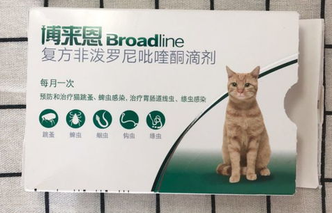 猫咪驱虫能用大宠爱吗？合适给猫咪用吗？