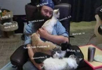 这哥们的猫太多了，为了防止记不住，照片上都得标注猫姓名和年龄