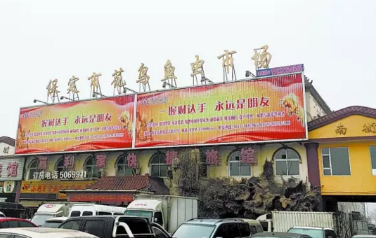 保定军校广场花鸟鱼虫市场