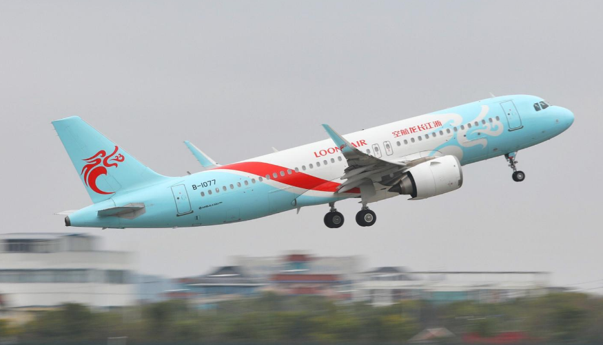 长龙航空能托运宠物吗