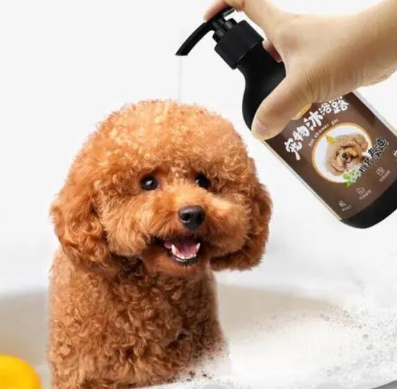 宠物狗可以用沐浴露洗澡吗