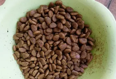 如何选适合的狗粮品牌 如何选适合的狗粮品牌