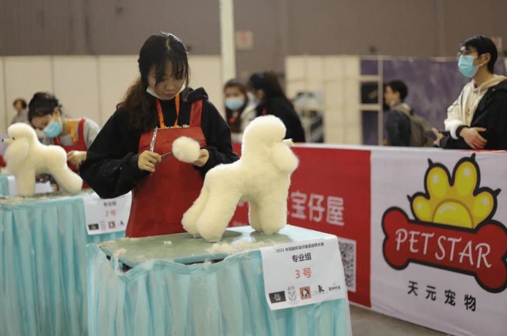 山东天元发工资不及时吗