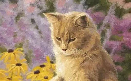 小猫猫藓初期症状是咋样的?一定要知道 小猫猫藓初期症状是咋样的?一定要知道
