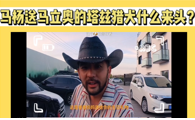 马杨送给马立奥的“塔兹猎犬”什么来头?