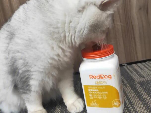 猫卵磷脂的功效与作用是什么呢