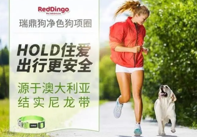 瑞鼎狗贵吗 瑞鼎狗贵吗