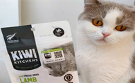 kiwikitchens猫粮好吗