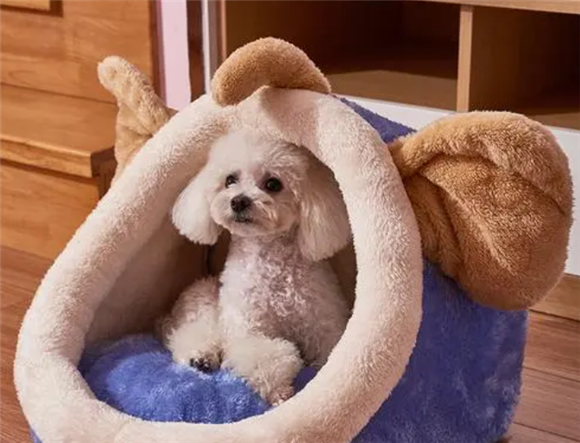 小兔当当狗窝好不好 小兔当当狗窝好不好