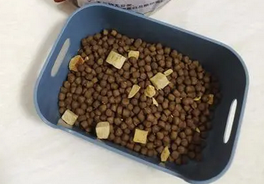 喵态猫粮怎么样