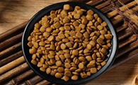 如何用泡狗粮驯狗