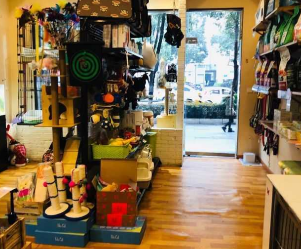 宠宠熊宠物店地址
