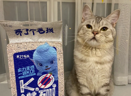 养了个毛孩猫砂工厂