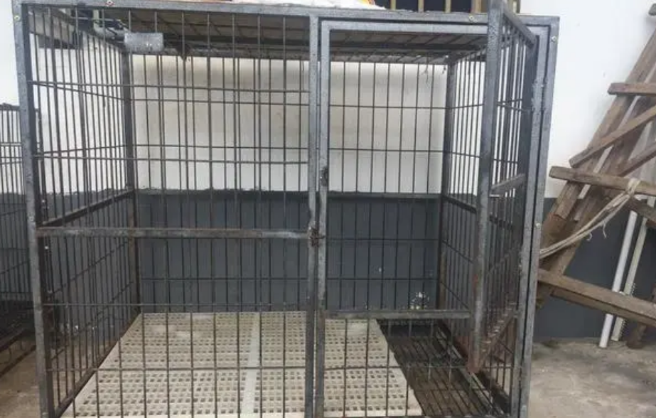 二手大型狗笼要怎么消毒 二手大型狗笼要怎么消毒