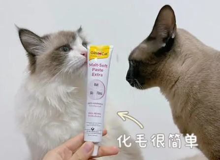 布偶猫吃啥化毛膏比较好