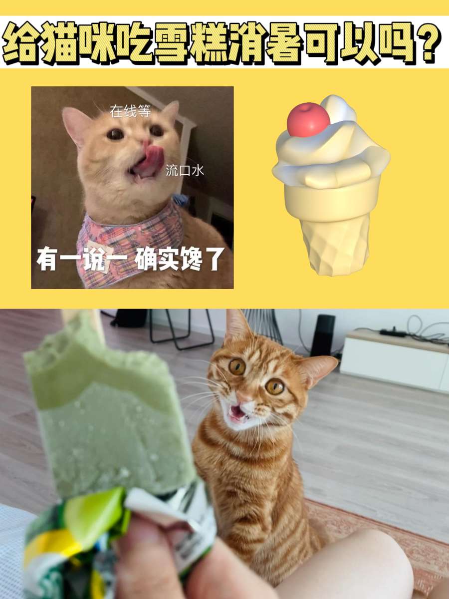 大热天给猫咪吃雪糕消暑?真的可以吗? 大热天给猫咪吃雪糕消暑?真的可以吗?