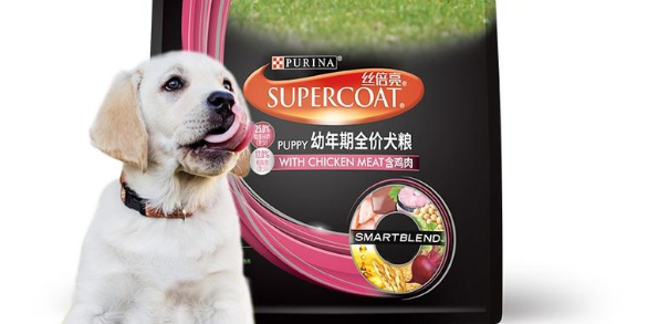 丝倍亮和康多乐哪个好 丝倍亮和康多乐哪个好