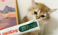 三个月小猫用吃化毛膏吗
