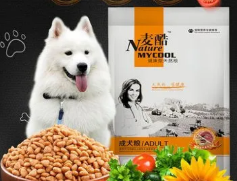 麦酷宠物怎么样 麦酷宠物怎么样