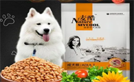 麦酷宠物怎么样