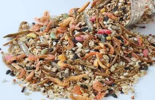 深入揭秘宠尚天仓鼠粮好不好?感觉怎么样?优缺点曝光! 深入揭秘宠尚天仓鼠粮好不好?感觉怎么样?优缺点曝光!