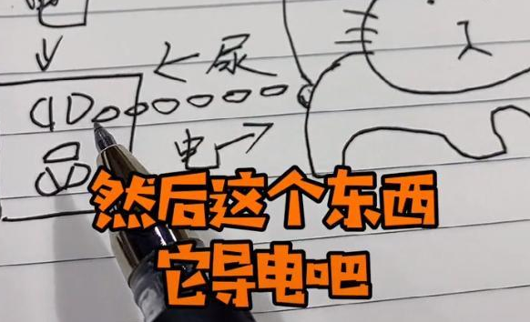 店里停电了，推测出嫌犯是一只猫后却不想说话了