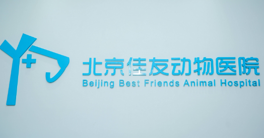 北京宠物医院哪家靠谱