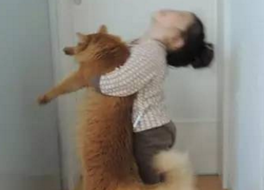 白天被猫咪嫌弃的小主人，到晚上又成了宝贝，画风让人忍不住笑了