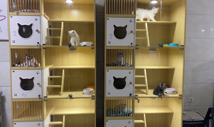 猫舍买猫可以讲价吗