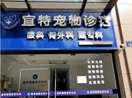宜特宠物医院电话 宜特宠物医院电话