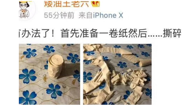 小主人弄撒了大人的化妆品，结果柴犬光荣的成了“替罪汪”！ 