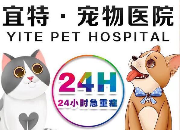 宜特宠物医院24小时开门吗 宜特宠物医院24小时开门吗