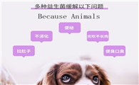 Because Animals宠物益生菌好吗