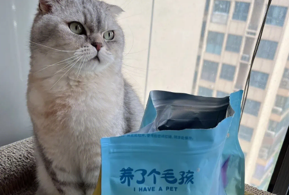 养了个毛孩猫粮有诱食剂吗