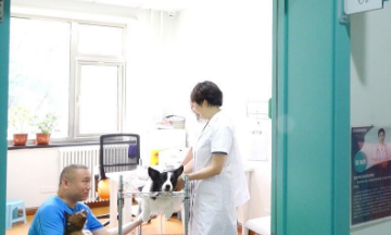 北京宠物医院哪家好些 北京宠物医院哪家好些