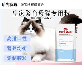 哈宠优选地址 哈宠优选地址