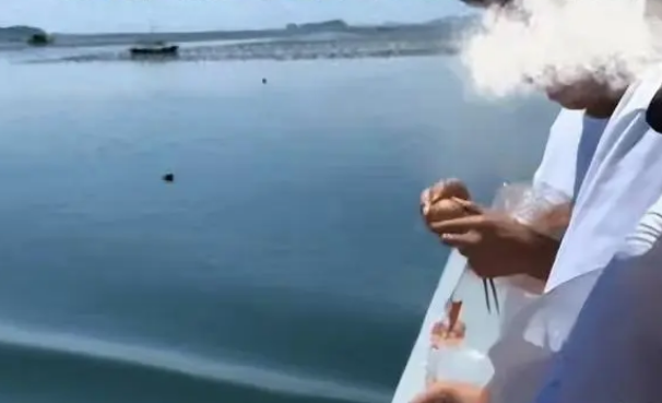 喂海鸥吃螺丝钉，太没有人性