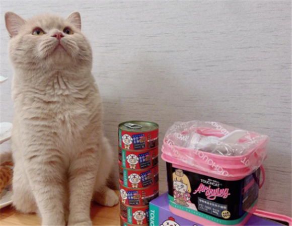 touchdog猫罐头怎么样 touchdog猫罐头怎么样