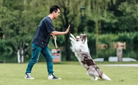 延吉宠物训练学校