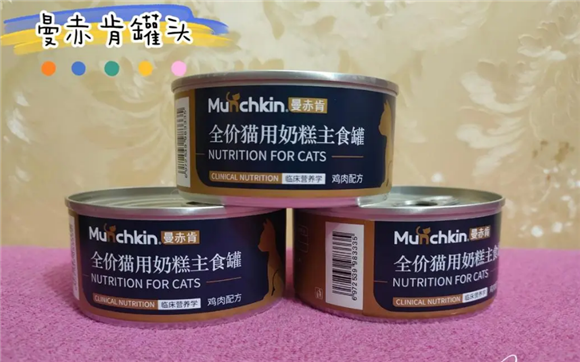 曼赤肯罐头价格