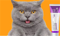 蓝猫化毛膏什么牌子的好