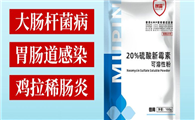 兽药新霉素主治什么病