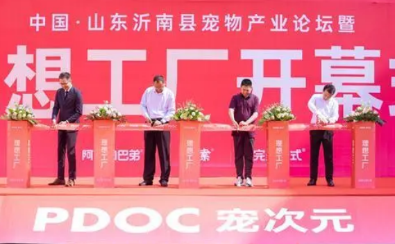 宠次元工作怎么样