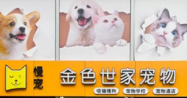 金色世家宠物店怎么样